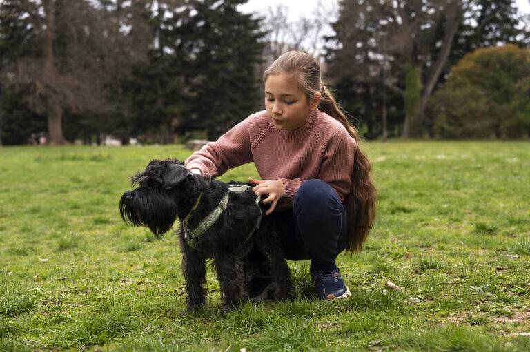 Como Identificar os Tipos de Carrapato em Cães?