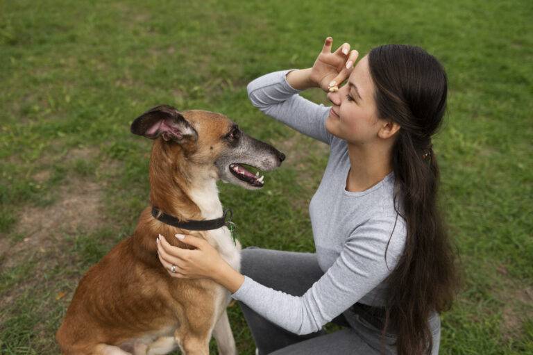 como-os-cachorros-enxergam