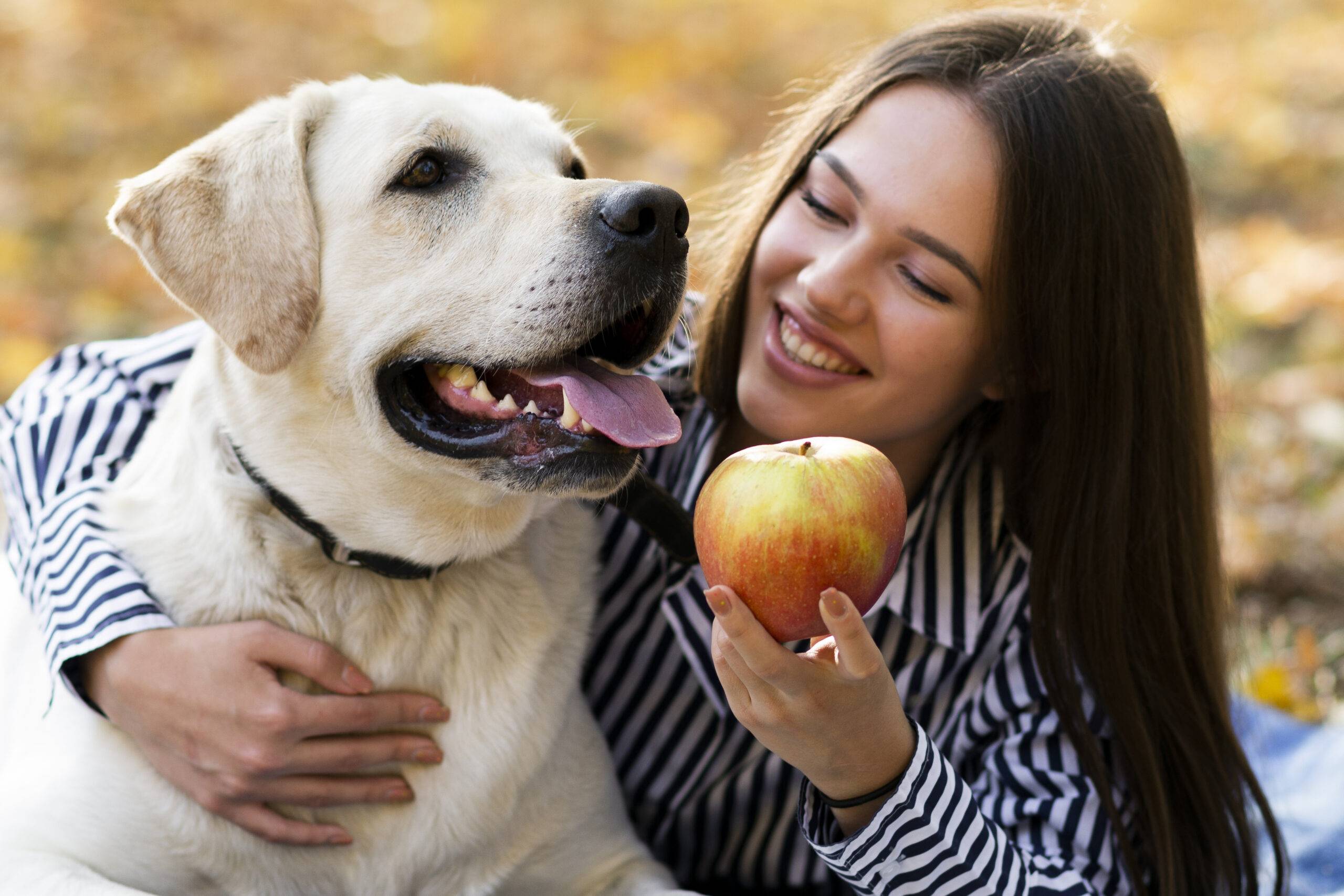 cachorro-pode-comer-maca