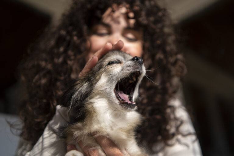 cachorro-uivando