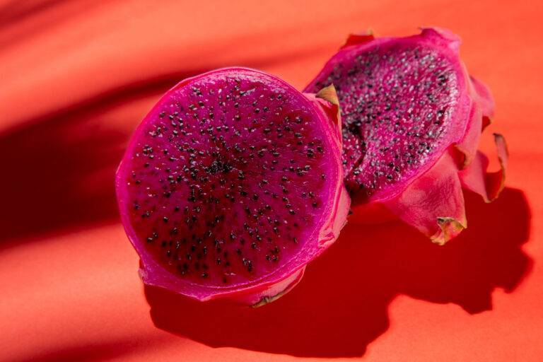 Cachorro pode comer pitaya